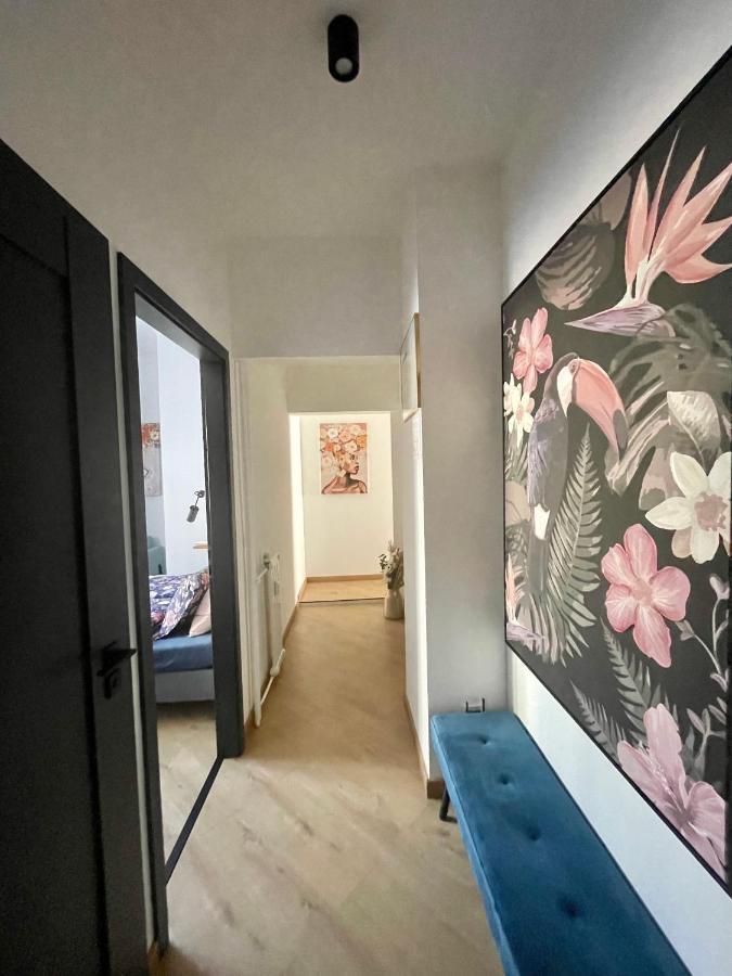 Brand New Apartment #Hollan#3Bedr#2Bathr#Freeparking Budapešť Exteriér fotografie